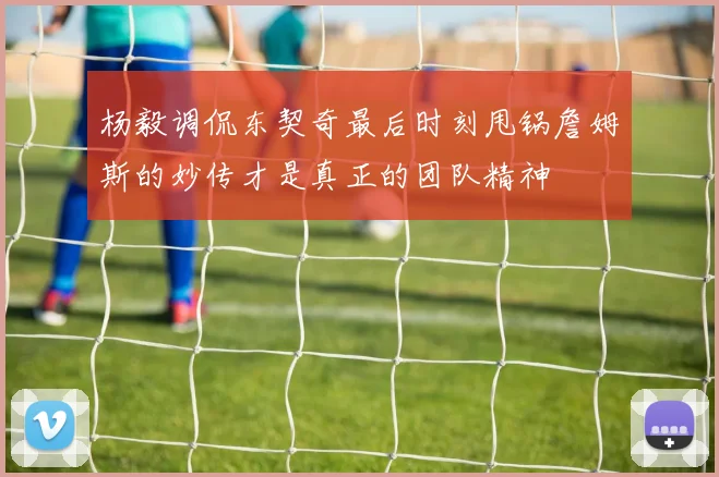 杨毅调侃东契奇最后时刻甩锅詹姆斯的妙传才是真正的团队精神