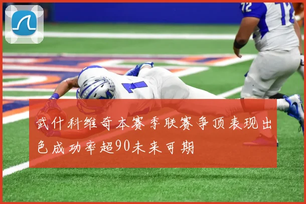 武什科维奇本赛季联赛争顶表现出色成功率超90未来可期